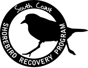 South Coast Shorebirds
