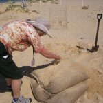 Raising Little Tern nest