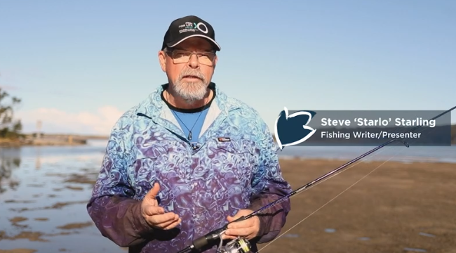 Anglers and Shorebirds