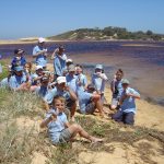 Students with models of Little Terns