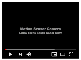 Motion Sensor Camera Video Mogareka