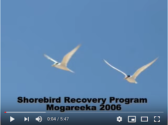 Recovery Program Overview Video