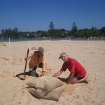 Raising nests for predicted exceptional tides